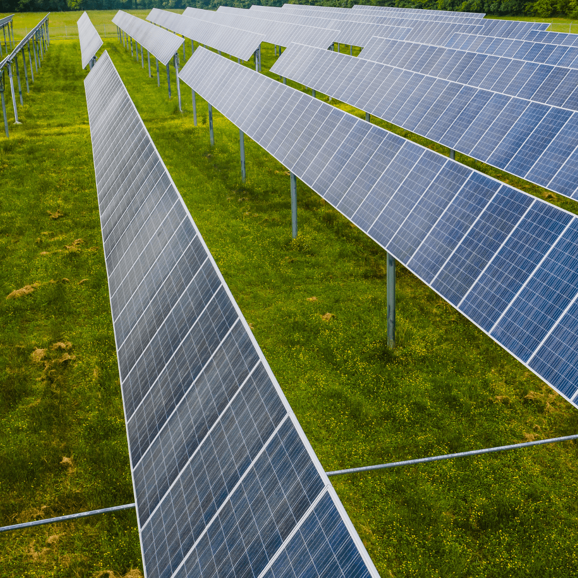 Solar & Energy